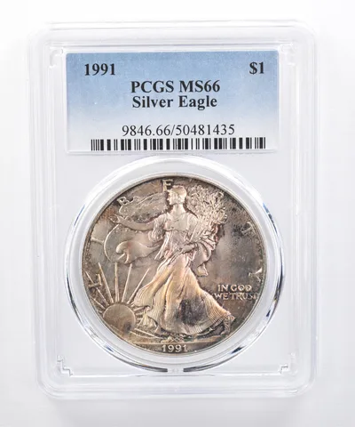 1991 American Silver Eagle MS66 PCGS Mottled Tone *8506