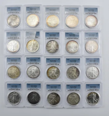 Lot (20) Nice Tone American Silver Eagle PCGS Holder *1995