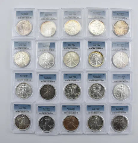 Lot (20) Nice Tone American Silver Eagle PCGS Holder *1990