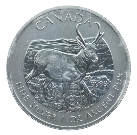 Better Date 2013 Canada $5 1 Oz Silver Pronghorn Antelope World Coin Silver *788