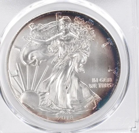 2018 American Silver Eagle MS69 PCGS Peripheral Tone *1135