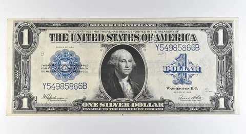 1923 $1 Silver Certificate Large Note Blue Seal Fr#237 *0541