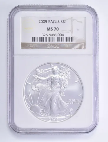 2005 American Silver Eagle 1 Oz MS70 NGC Brown Label