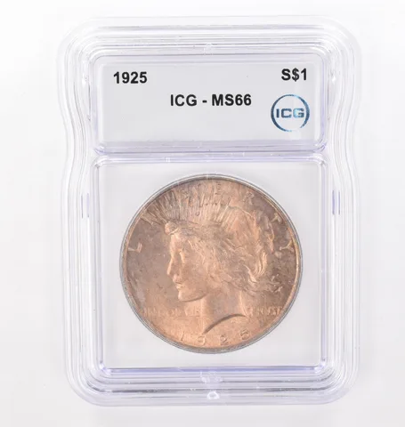1925 Peace Silver Dollar MS66 ICG Beautiful Tone *4296