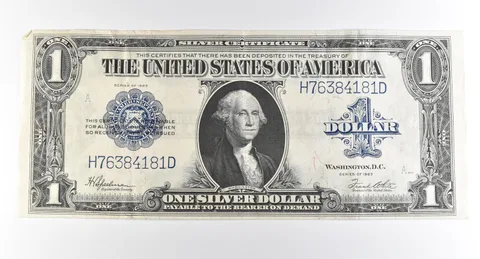 1923 $1 Silver Certificate Large Note Blue Seal *3693