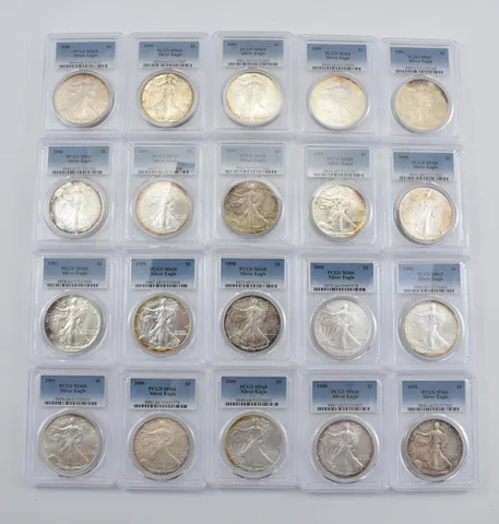 Lot (20) Nice Tone American Silver Eagle PCGS Holder *2906