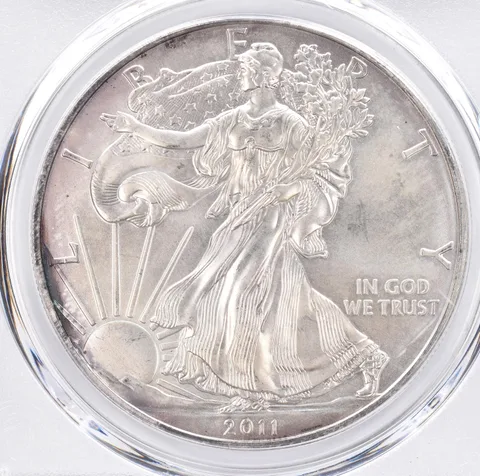 2011 American Silver Eagle MS65 PCGS Beautiful Tone *1460
