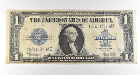 1923 $1 Silver Certificate Large Note Blue Seal *2912