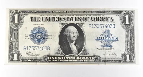 1923 $1 Silver Certificate Large Note Blue Seal *2972