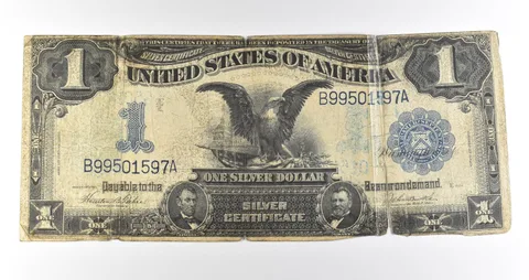 1899 $1 Silver Certificate Black Eagle Blue Seal Large Note Fr#233 *4628