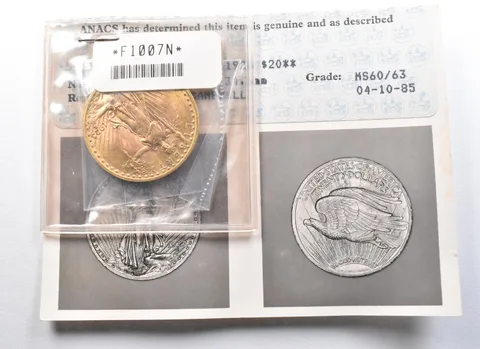1923 $20 Saint Gaudens Gold Double Eagle MS60/63 ANACS Photograde *2701