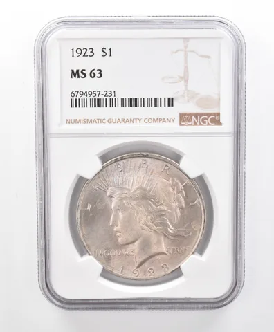 MS63 1923 Peace Silver Dollar NGC Beautifully Toned a9638