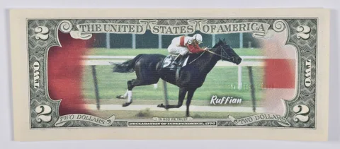 2017 $2 Colorized US Note Race Horse - Ruffian Custom Printed FRN