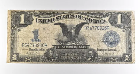 1899 $1 Silver Certificate Black Eagle Blue Seal Large Note *4521