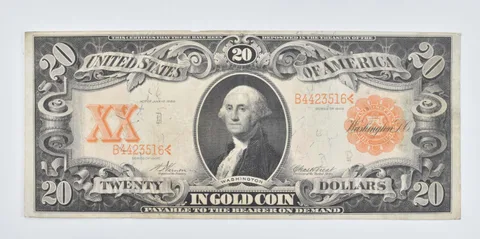 1906 $20 United States Gold Certificate - Large Note *8051