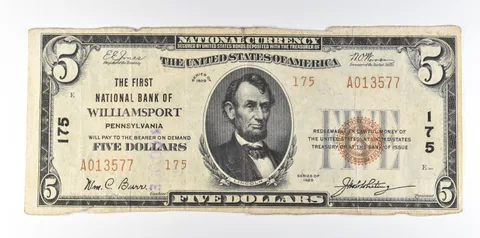 1929 $5 National Currency Williamsport PA Ch#175 Brown Seal a8069