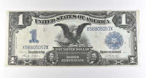 1899 $1 Silver Certificate Large Note Blue Seal *2874