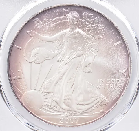 2007-W Burnished American Silver Eagle SP69 PCGS Beautiful Tone *1553