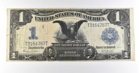 1899 $1 Silver Certificate Black Eagle Blue Seal Large Note Fr#233 *4600