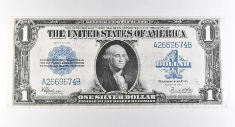1923 $1 Silver Certificate Large Note Blue Seal *2940