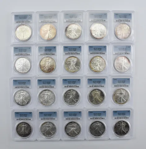 Lot (20) Nice Tone American Silver Eagle PCGS Holder *1997
