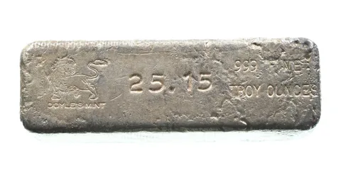 25.15 Troy Oz Silver Bar Doyle Mint *2593