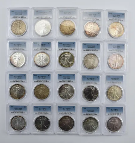 Lot (20) Nice Tone American Silver Eagle PCGS Holder *1993