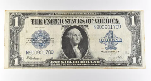 1923 $1 Silver Certificate Large Note Blue Seal *2913