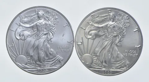 2009 - 2020 American Silver Eagle 1 T Oz .999 Lot of 2 *242