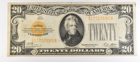1928 $20 US Gold Certificate Fr#2402 *1013