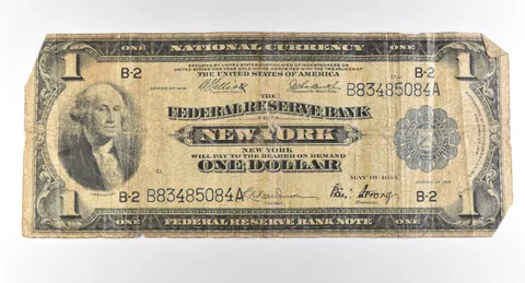 1918 $1 New York NY National Currency Large Note Blue Seal *3048