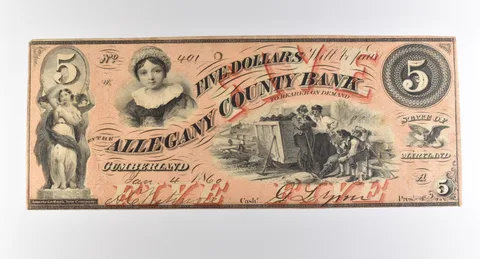 1860 $5 Cumberland MD Allegany County Bank Obsolete Note *3819