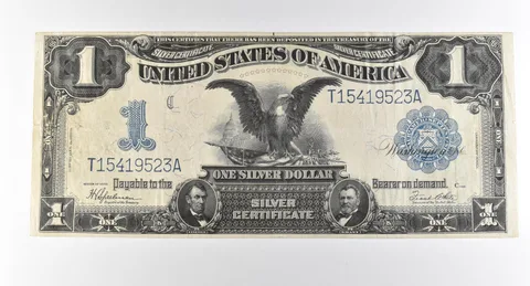 1899 $1 Silver Certificate Large Note Blue Seal *2865