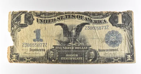 1899 $1 Silver Certificate Black Eagle Blue Seal Large Note Fr#233 *4634