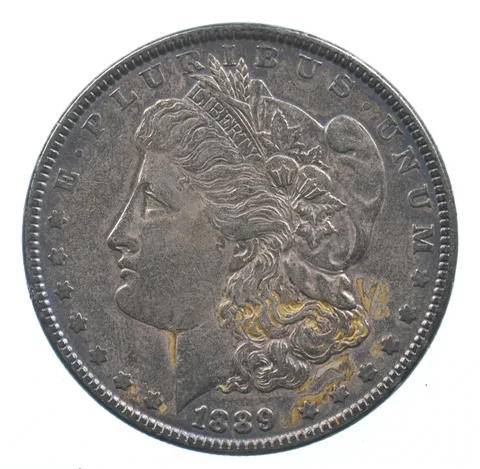 Early - 1889 Morgan Silver Dollar - 90% US Coin *695