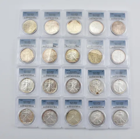 Lot (20) Nice Tone American Silver Eagle PCGS Holder *2909