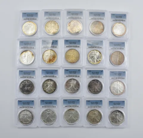 Lot (20) Nice Tone American Silver Eagle PCGS Holder *2901