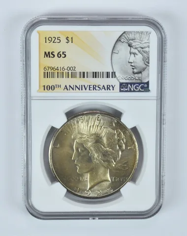 MS65 1925 Peace Silver Dollar NGC Beautifully Toned *8022