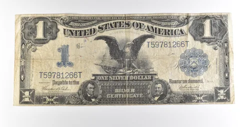 1899 $1 Silver Certificate Black Eagle Blue Seal Large Note *4495