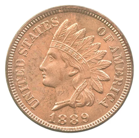 1889 Indian Head Cent a3170