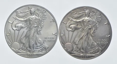 2020 - 2021 American Silver Eagle 1 T Oz .999 Lot of 2 *249