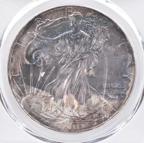 2011 American Silver Eagle MS66 PCGS Beautiful Tone *1387