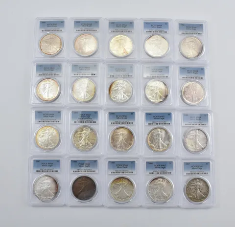 Lot (20) Nice Tone American Silver Eagle PCGS Holder *2907