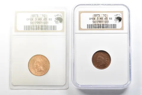 1873 Indian Head Cent Open 3 MS65 RB NGC Eagle Eye Photo Seal *3500