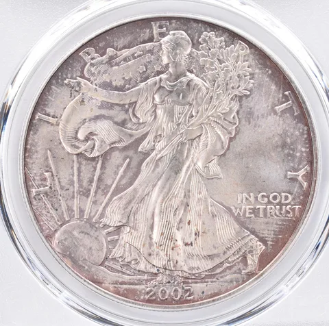 2002 American Silver Eagle MS65 PCGS Beautiful Tone *1458