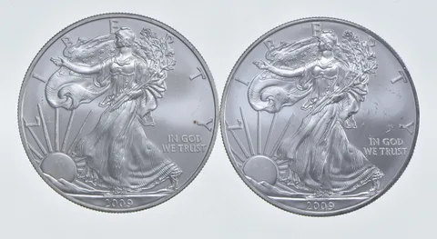 2009 - 2009 American Silver Eagle 1 T Oz .999 Lot of 2 *244