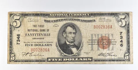 1929 $5 Fayetteville AR National Currency Ch#7346 Brown Seal a1189