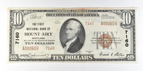 1929 $10 National Currency Mount Airy MD Ch#7160 Brown Seal *8067