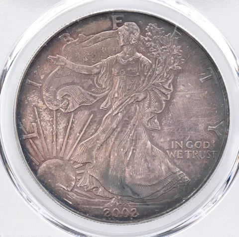 2002 American Silver Eagle MS66 PCGS Beautiful Tone *1392