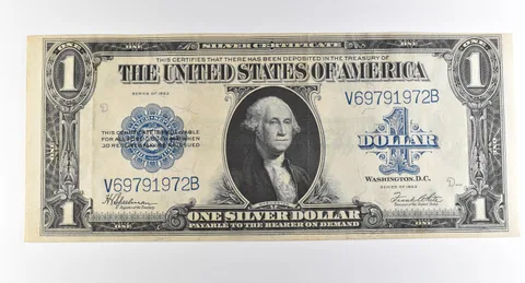 1923 $1 Silver Certificate Large Note Blue Seal *3703